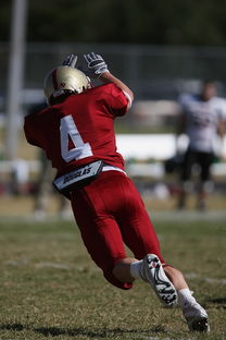 星空娱乐最新网址-CBA赛季转会期开放多支球队进行大规模阵容调整，cba转会动态2021